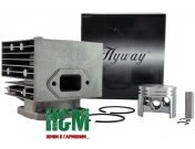 Поршневая Hyway D46 Nikasil для мотоопрыскивателей St SR 400, 420, Хивей (CK000079)