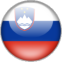 Страна производитель Словения